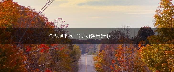 夸鹿晗的句子很长(通用6句),第1张