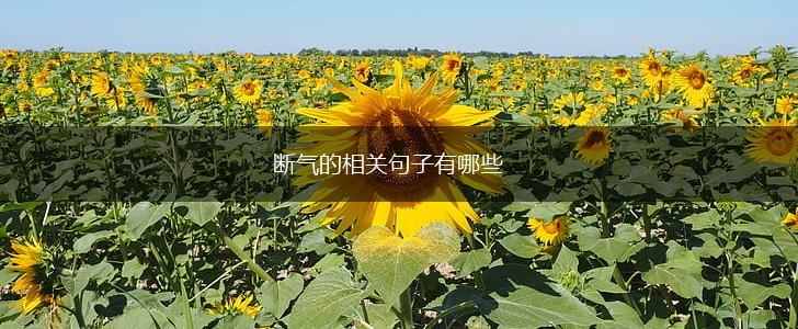断气的相关句子有哪些,第1张 断气的相关句子有哪些,第1张