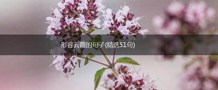 形容云霞的句子(精选51句),第1张