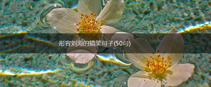 形容刘海的搞笑句子(50句),第1张