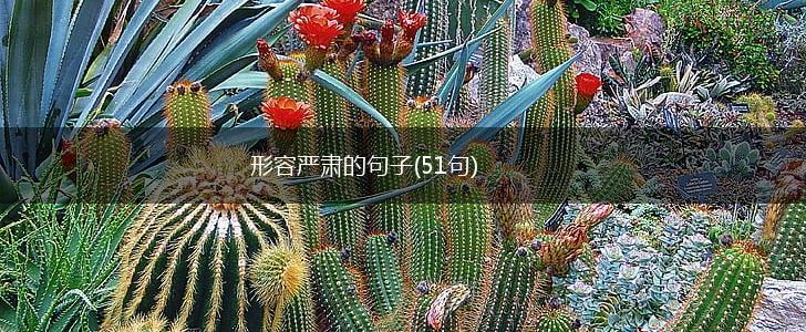 形容严肃的句子(51句),第1张