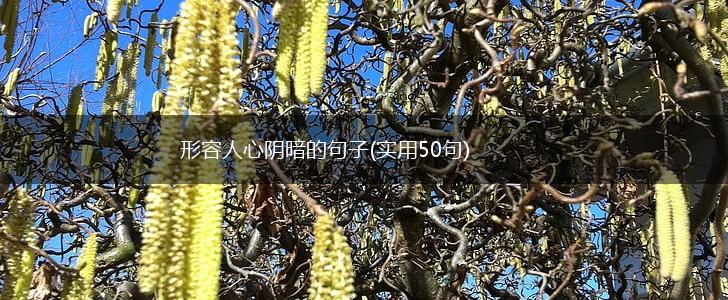 形容人心阴暗的句子(实用50句),第1张