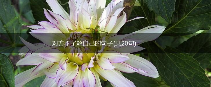 对方不了解自己的句子(共20句),第1张