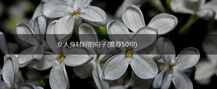 女人身材好的句子(推荐50句),第1张