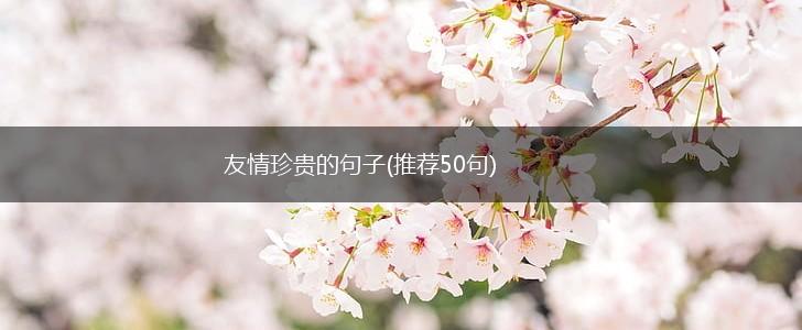 友情珍贵的句子(推荐50句),第1张