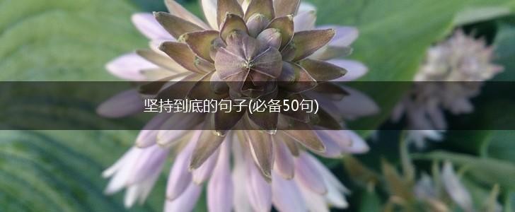 坚持到底的句子(必备50句),第1张