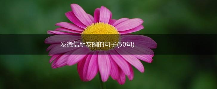 发微信朋友圈的句子(50句),第1张