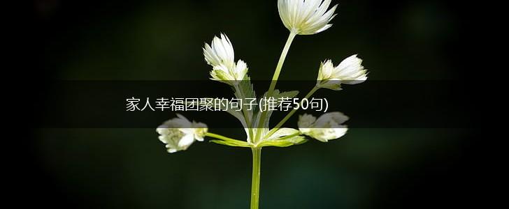 家人幸福团聚的句子(推荐50句),第1张