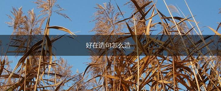 好在造句怎么造,第1张 好在造句怎么造,第1张