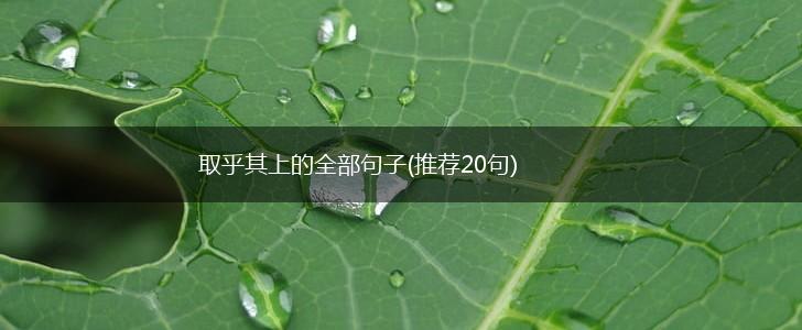 取乎其上的全部句子(推荐20句),第1张