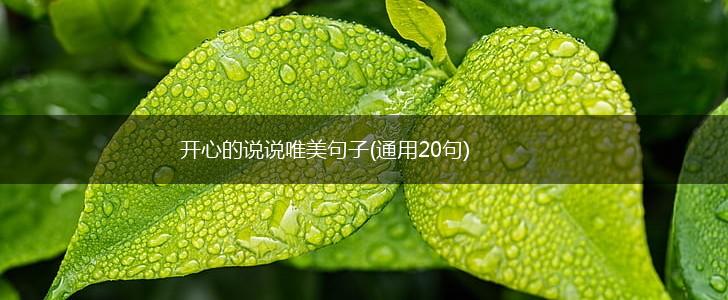 开心的说说唯美句子(通用20句),第1张