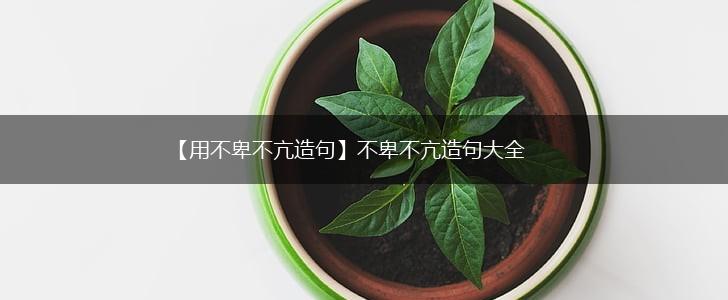 【用不卑不亢造句】不卑不亢造句大全,第1张