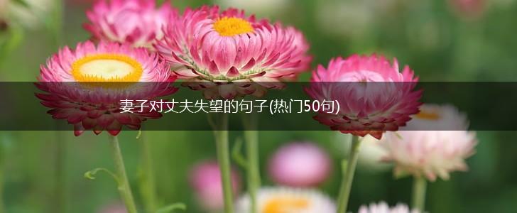妻子对丈夫失望的句子(热门50句),第1张
