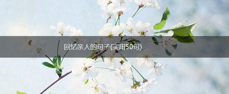 回忆亲人的句子(实用50句),第1张