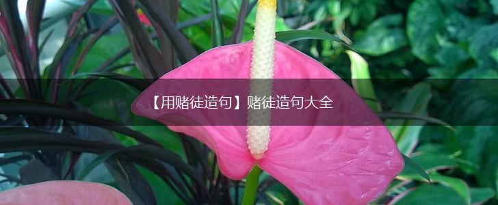 【用赌徒造句】赌徒造句大全,第1张 【用赌徒造句】赌徒造句大全,第1张