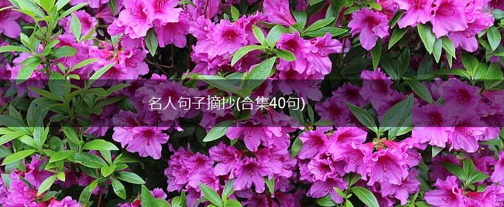 名人句子摘抄(合集40句),第1张