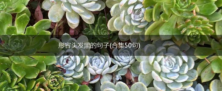 形容头发黑的句子(合集50句),第1张