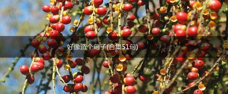 好像造个句子(合集51句),第1张