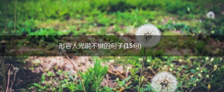 形容人光说不做的句子(15句),第1张