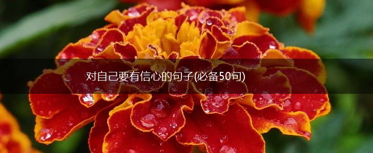 对自己要有信心的句子(必备50句),第1张