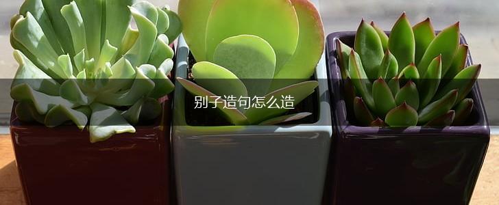 别子造句怎么造,第1张