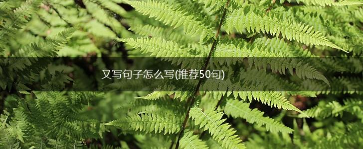 又写句子怎么写(推荐50句),第1张