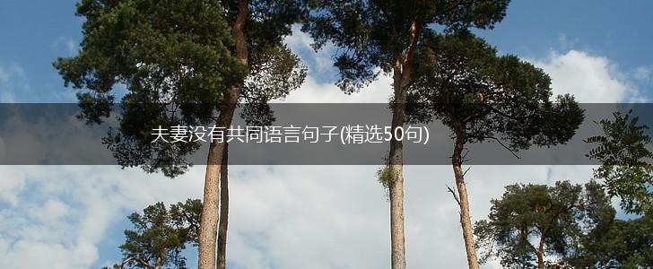 夫妻没有共同语言句子(精选50句),第1张