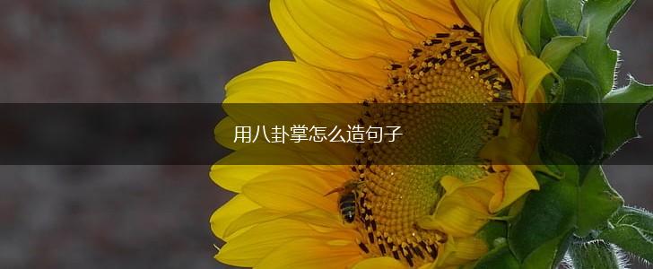 用八卦掌怎么造句子,第1张
