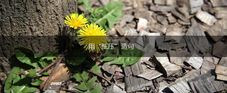 用“低压”造句,第1张