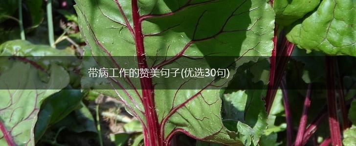 带病工作的赞美句子(优选30句),第1张