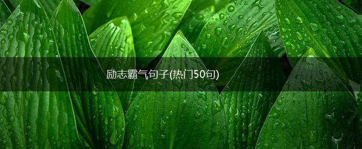 励志霸气句子(热门50句),第1张