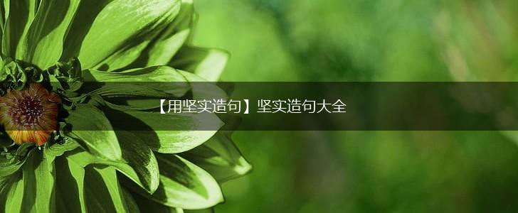 【用坚实造句】坚实造句大全,第1张 【用坚实造句】坚实造句大全,第1张