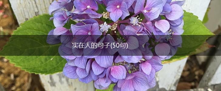 实在人的句子(50句),第1张