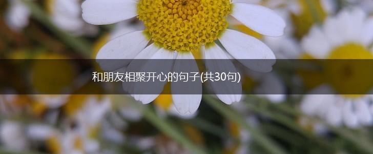 和朋友相聚开心的句子(共30句),第1张