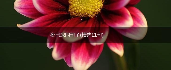 夜已深的句子(精选11句),第1张