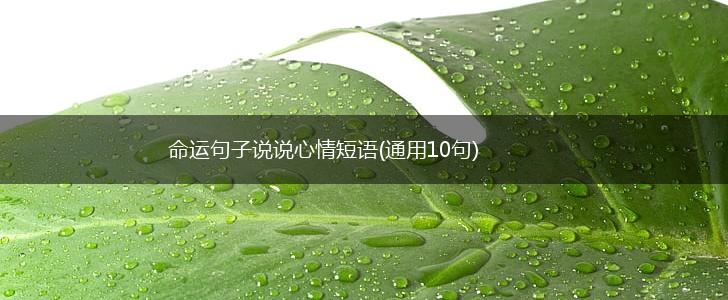 命运句子说说心情短语(通用10句),第1张