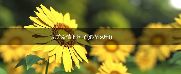 完美爱情的句子(必备50句),第1张