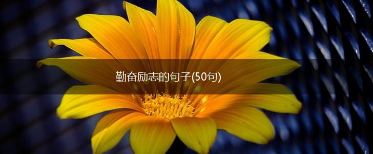勤奋励志的句子(50句),第1张