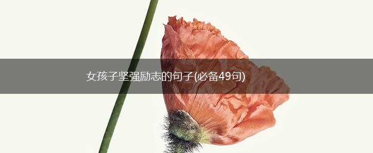 女孩子坚强励志的句子(必备49句),第1张