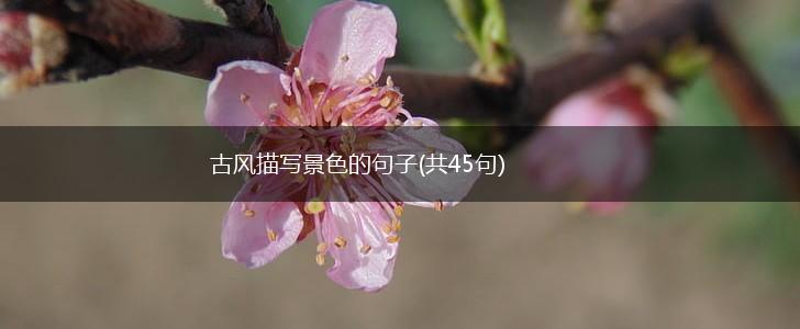古风描写景色的句子(共45句),第1张