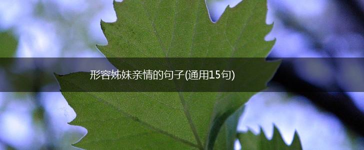形容姊妹亲情的句子(通用15句),第1张