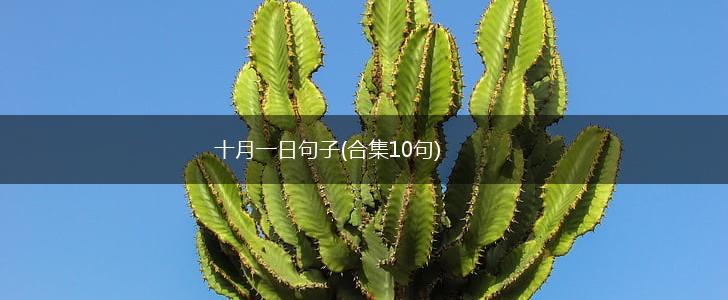 十月一日句子(合集10句),第1张