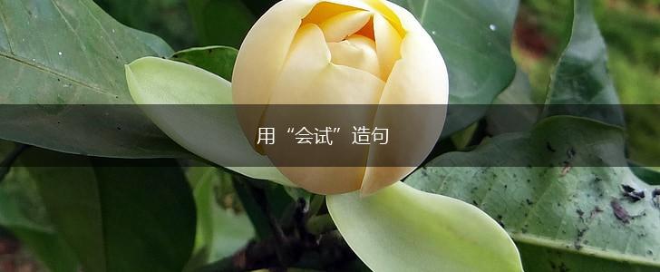 用“会试”造句,第1张 用“会试”造句,第1张