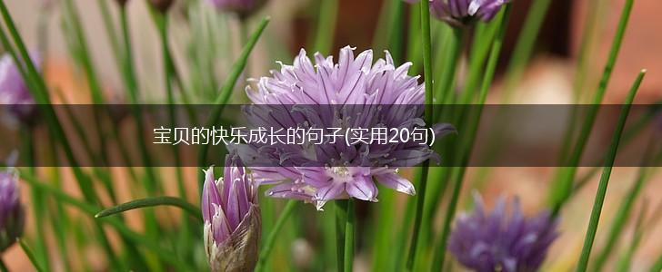 宝贝的快乐成长的句子(实用20句),第1张