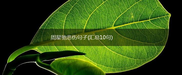 周星驰悲伤句子(汇总10句),第1张
