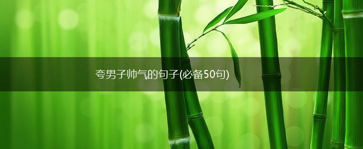 夸男子帅气的句子(必备50句),第1张