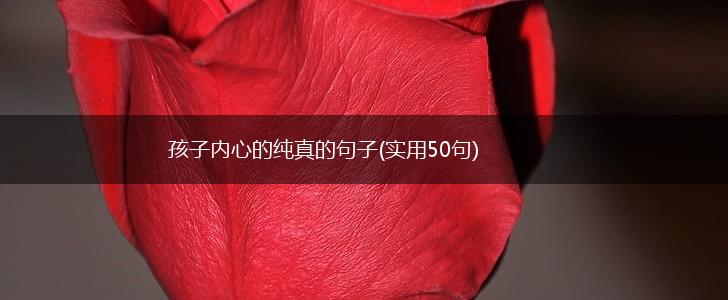 孩子内心的纯真的句子(实用50句),第1张