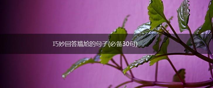 巧妙回答尴尬的句子(必备30句),第1张