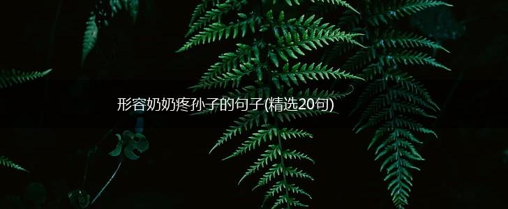 形容奶奶疼孙子的句子(精选20句),第1张