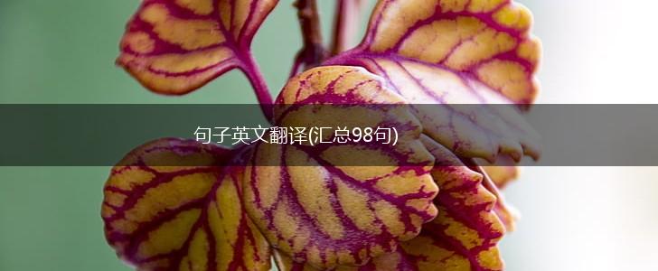 句子英文翻译(汇总98句),第1张